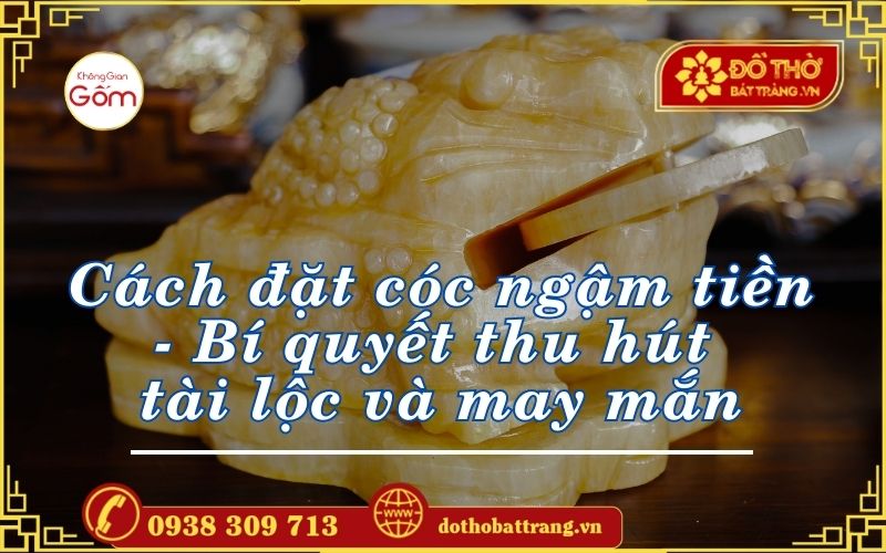 Cách đặt cóc ngậm tiền – Bí quyết thu hút tài lộc và may mắn