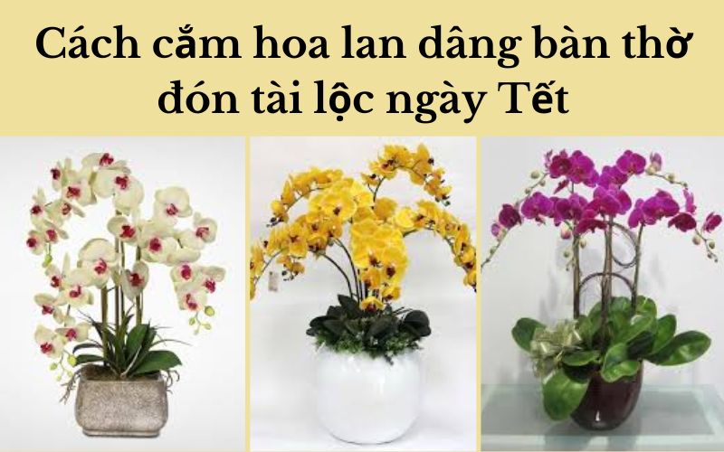 Cách cắm hoa lan dâng bàn thờ đón tài lộc ngày Tết