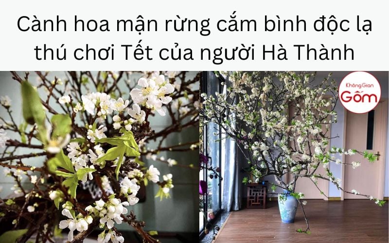 Cành hoa mận rừng cắm bình độc lạ thú chơi Tết của người Hà Thành