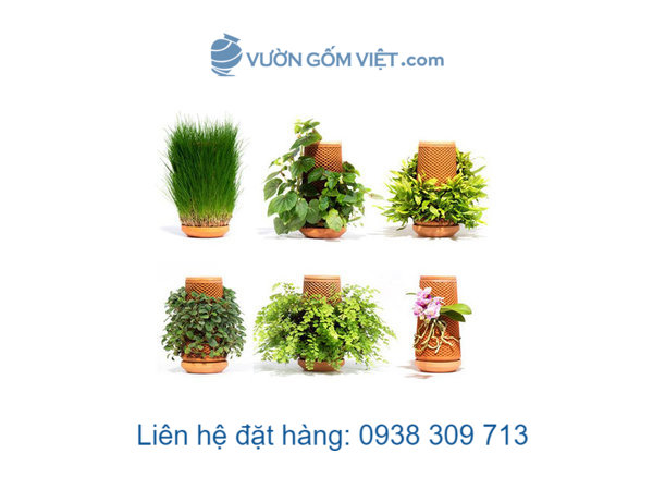 Mua chậu thủy canh đất nung gốm đỏ ở đâu có giá rẻ?