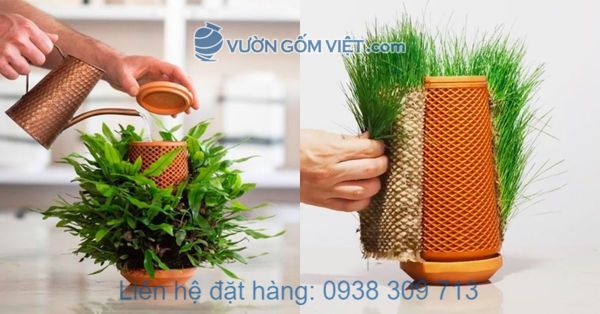 Cách lựa chọn chậu trồng cây thủy canh thông minh cho người bận rộn