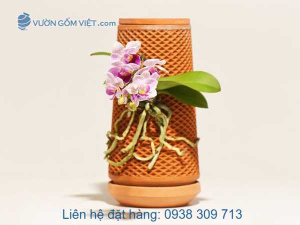 Nơi bán chậu thủy canh Terraplanter đẹp rẻ tại TpHCM