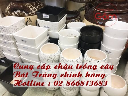 Chậu trồng cây Bát Tràng Tại Tphcm  – Mua chậu cây Bát Tràng ở đâu ?