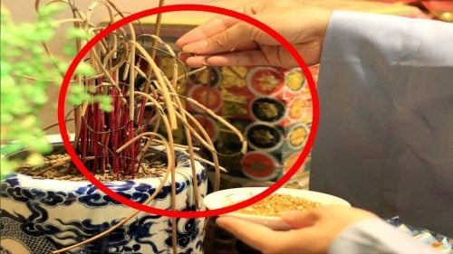 Khi về nhà mới, nên mua bát hương mới hay dùng bát hương cũ