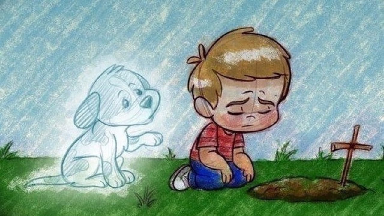 Tại sao trong đạo Phật cấm ăn thịt chó ?