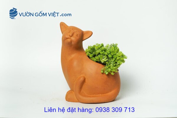 Nhà cung cấp chậu gốm Terracotta toàn quốc theo yêu cầu
