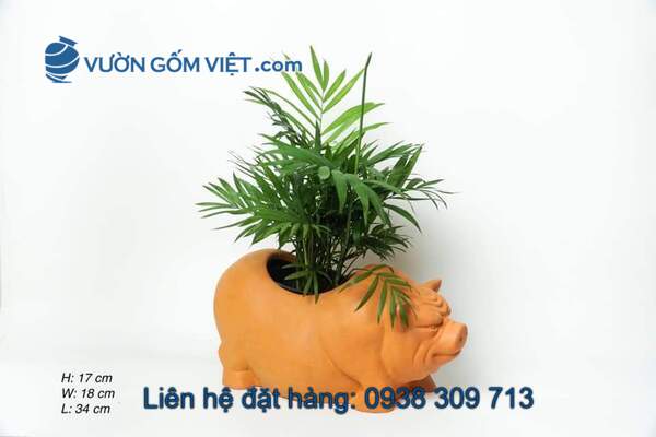 Mua chậu gốm đất đỏ ở đâu? Giá bao nhiêu? Có nhiều loại không?