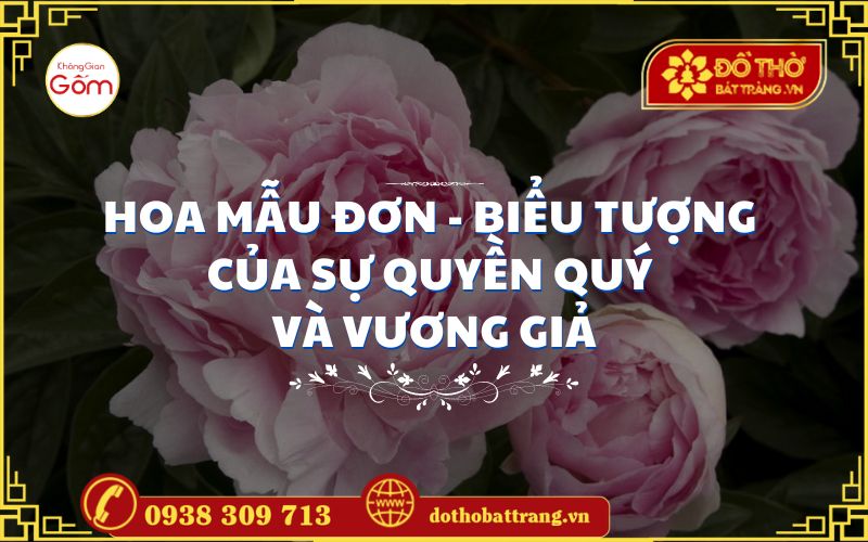 Hoa mẫu đơn – Biểu tượng của sự quyền quý và vương giả