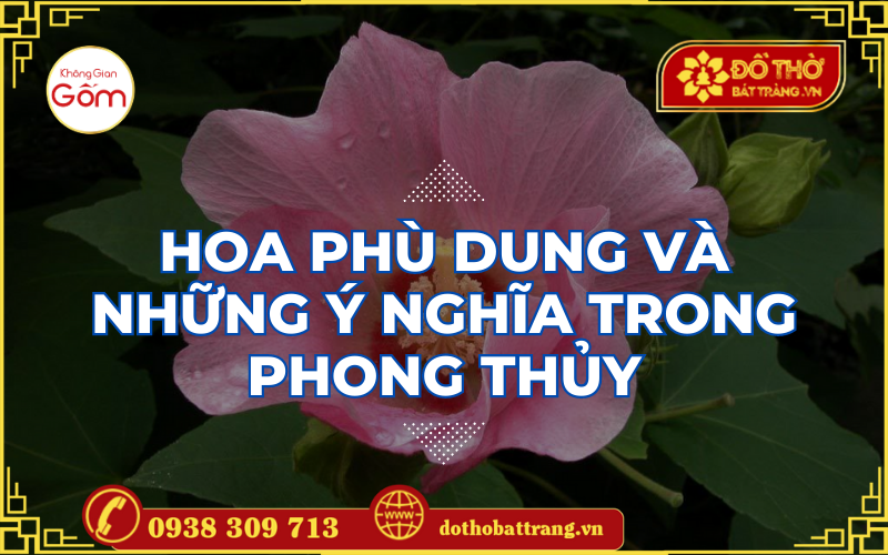 Hoa phù dung và những ý nghĩa trong phong thủy