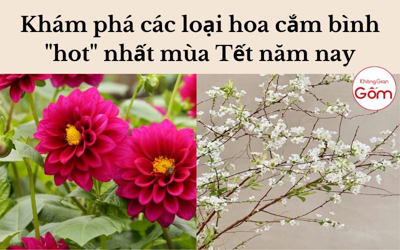 Khám phá các loại hoa cắm bình “hot” nhất mùa Tết năm nay