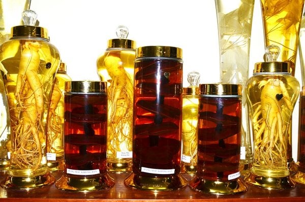 Bình ngâm rượu nấm linh chi mua ở đâu ? giá bao nhiêu tiền ?