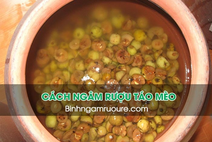 Ngâm rượu hoa quả uống tết : TOP 10 rượu ngâm uống tết ngon dễ làm