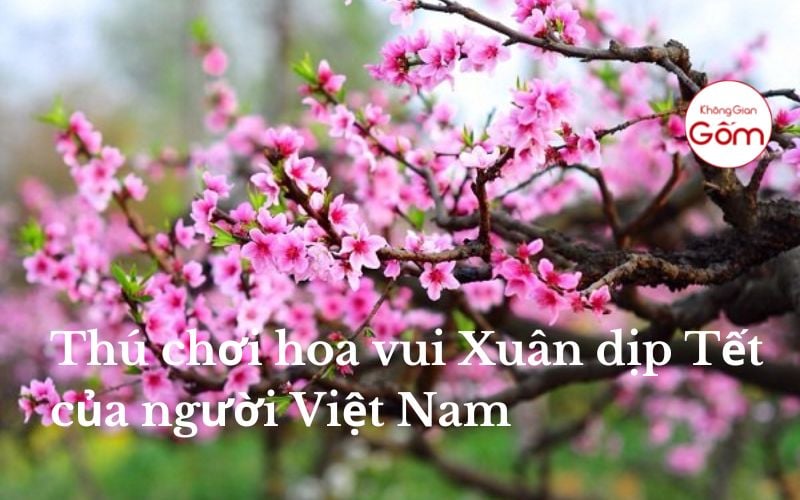 Thú chơi hoa vui Xuân dịp Tết của người Việt Nam