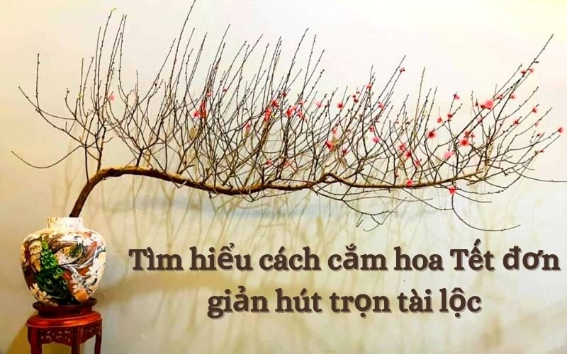 Tìm hiểu cách cắm hoa Tết đơn giản hút trọn tài lộc