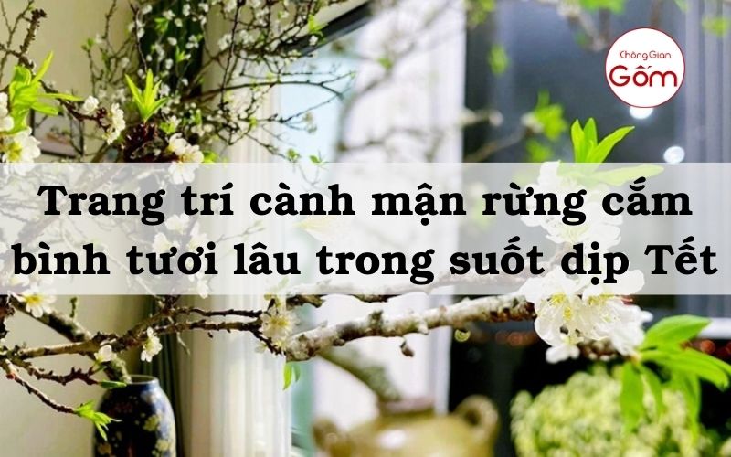 Trang trí cành mận rừng cắm bình tươi lâu trong suốt dịp Tết