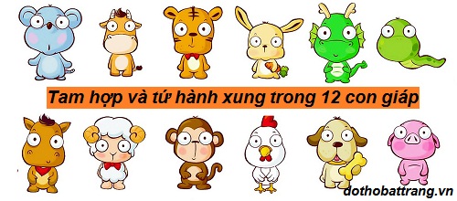 Tam hợp và tứ hành xung trong 12 con giáp – Bói tử vi mệnh số