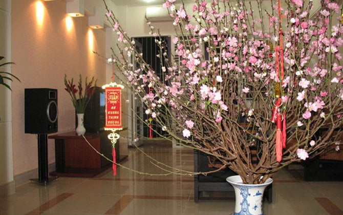 Tục lệ quà biếu dịp Tết của người Việt Xưa và Nay