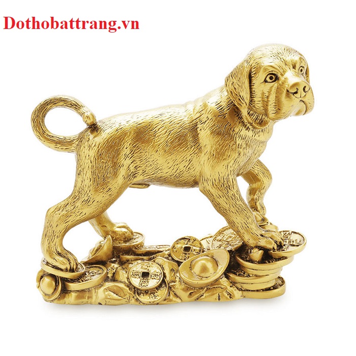 Tuổi Tuất và những điều bạn chưa biết về phong Thủy
