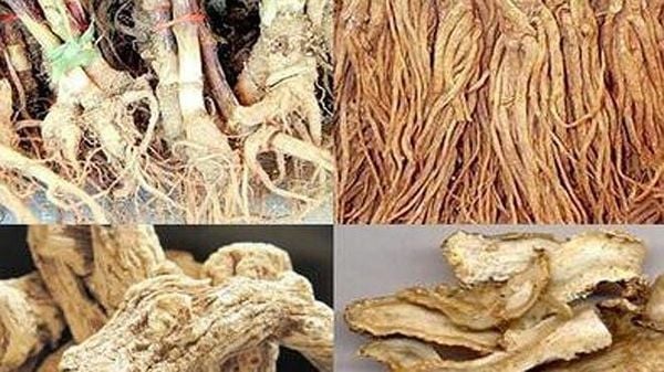 Tổng hợp các loại rượu ngâm thảo dược an toàn tốt cho sức khỏe mọi người