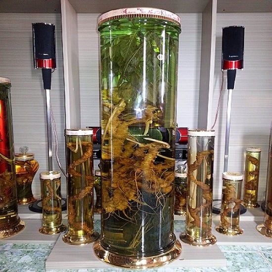 Tổng hợp các loại rượu ngâm thảo dược an toàn tốt cho sức khỏe mọi người