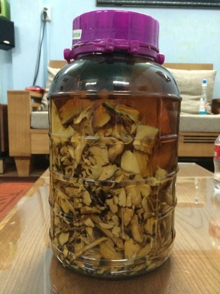 Tổng hợp các loại rượu ngâm thảo dược an toàn tốt cho sức khỏe mọi người