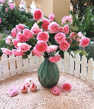 Bình nào cắm hoa Hồng đẹp? Cách cắm các loại hoa Hồng trong ngày Tết
