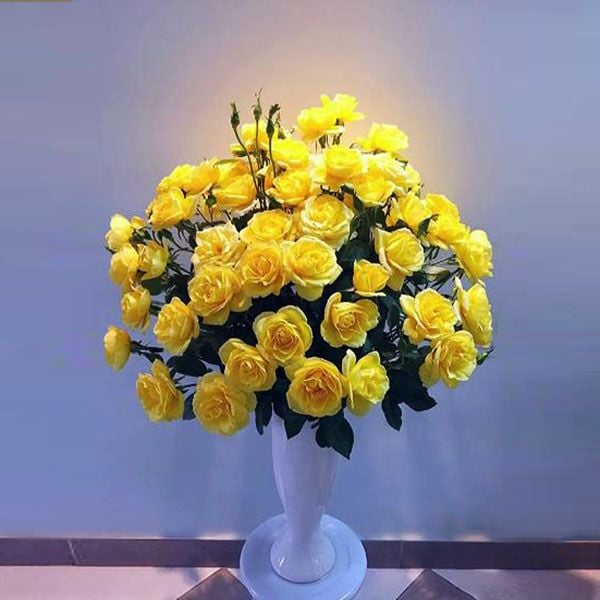 Bình nào cắm hoa Hồng đẹp? Cách cắm các loại hoa Hồng trong ngày Tết