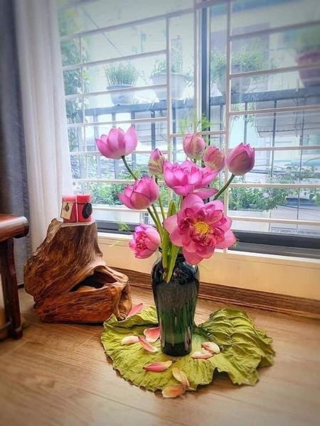 Tìm hiểu cách cắm hoa Tết đơn giản hút trọn tài lộc