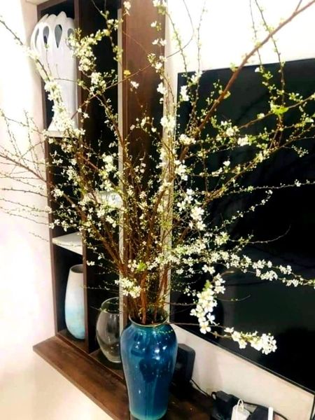 Bình gốm sứ cắm mai đào chưng Tết tuyệt đẹp