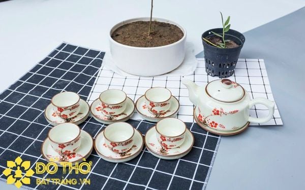Các bộ ấm trà quà tặng tết – Nơi mua ấm trà giá xưởng