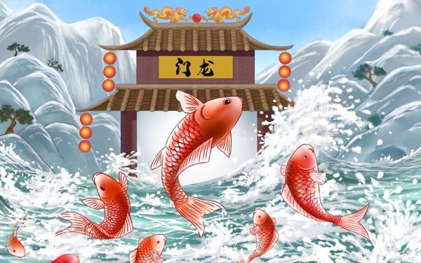 Cá chép vượt vũ môn – Giải mã bí ẩn phong thủy