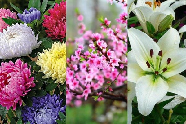 Gợi ý các mẫu hoa cắm bình đẹp, sang trọng chưng Tết