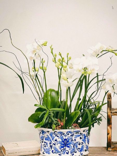 Ngày Tết nên cắm hoa gì trong nhà rước vận may