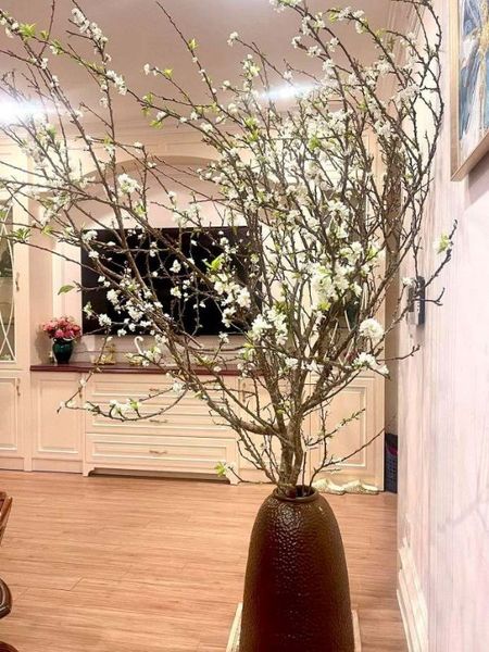 Sắm sửa cành hoa mận rừng chơi Xuân ngày Tết