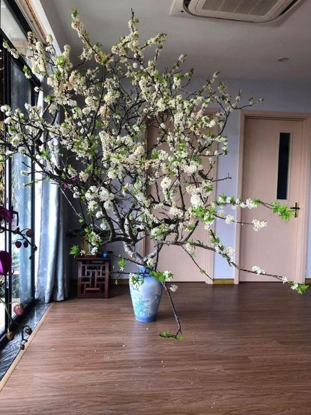 Các mẫu bình cắm hoa đẹp để bàn trang trí phòng khách dịp Tết