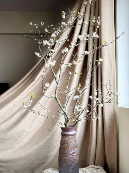 Cành hoa mận rừng cắm bình độc lạ thú chơi Tết của người Hà Thành