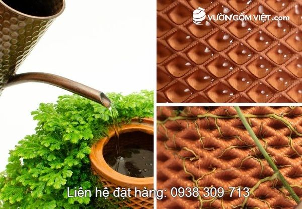 Mua chậu thủy canh đất nung gốm đỏ ở đâu có giá rẻ?