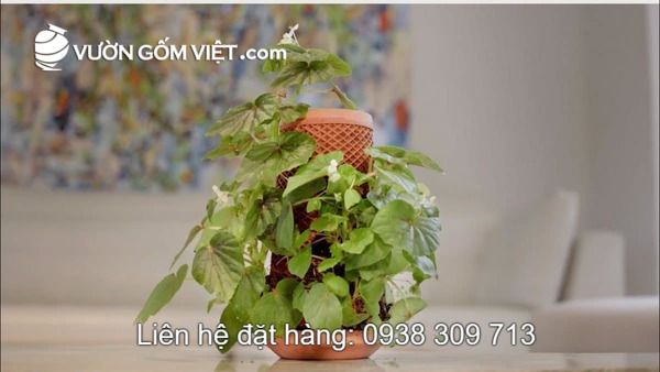 Chậu thủy canh Terraplanter là gì? Giá bao nhiêu? Mua ở đâu?