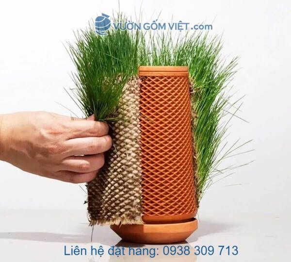 Ở đâu bán chậu gốm thủy canh giá rẻ giao hàng tận nơi?
