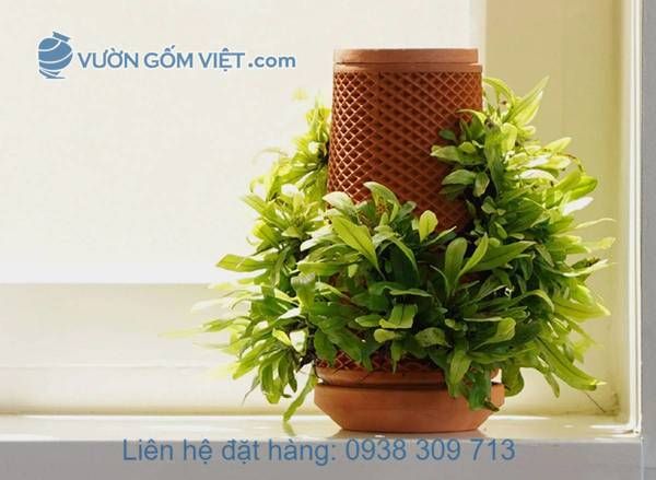 Chậu thủy canh Terraplanter là gì? Giá bao nhiêu? Mua ở đâu?