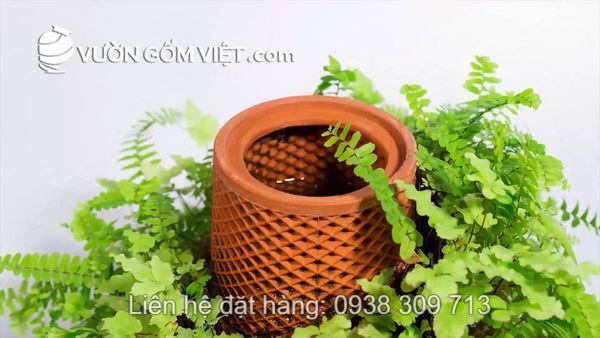 Ở đâu bán chậu gốm thủy canh giá rẻ giao hàng tận nơi?