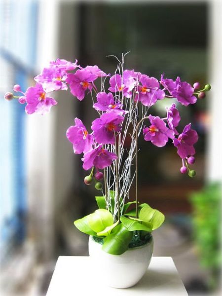 Cách cắm hoa lan dâng bàn thờ đón tài lộc ngày Tết
