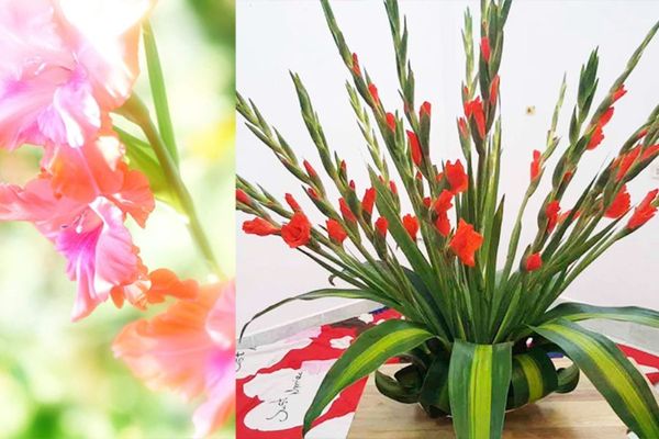 Gợi ý các mẫu hoa chưng Tết đẹp trong năm nay