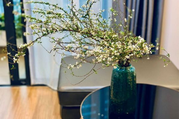 Ngày Tết nên cắm hoa gì trong nhà rước vận may
