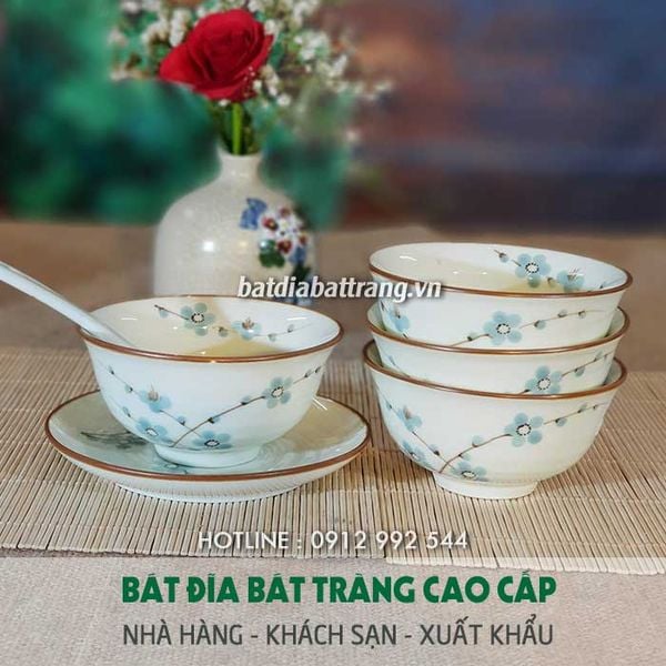 Cung cấp chén sứ màu đen, chén sứ màu, chén bát sứ kiểu