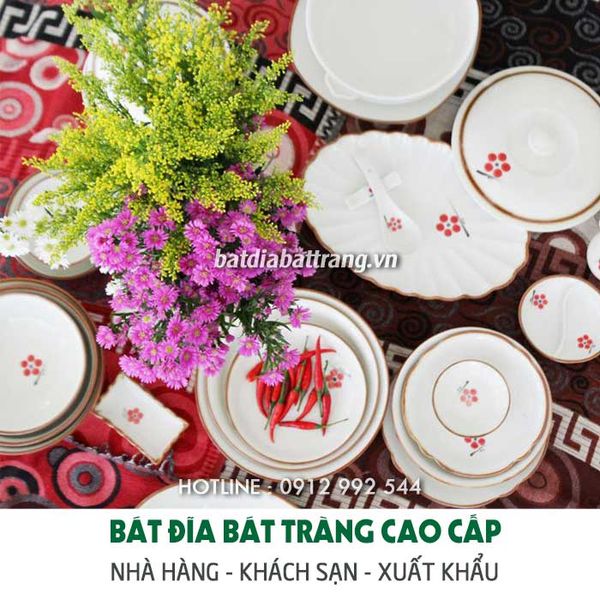 Mua đĩa sứ trắng đẹp, bát đĩa sứ trắng kiểu, chén dĩa in hoa
