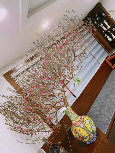 Bình gốm sứ cao cấp – Món quà tân gia ý nghĩa được lòng gia chủ