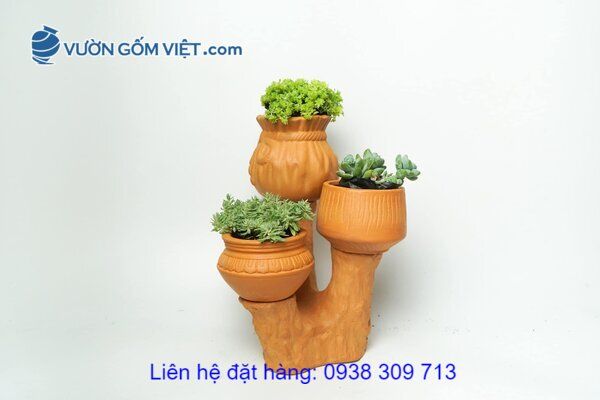 Mua chậu gốm đất đỏ ở đâu? Giá bao nhiêu? Có nhiều loại không?