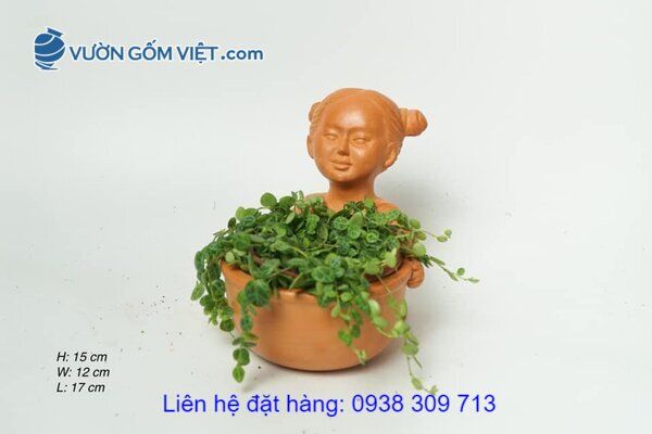 Mua chậu gốm đất đỏ ở đâu? Giá bao nhiêu? Có nhiều loại không?