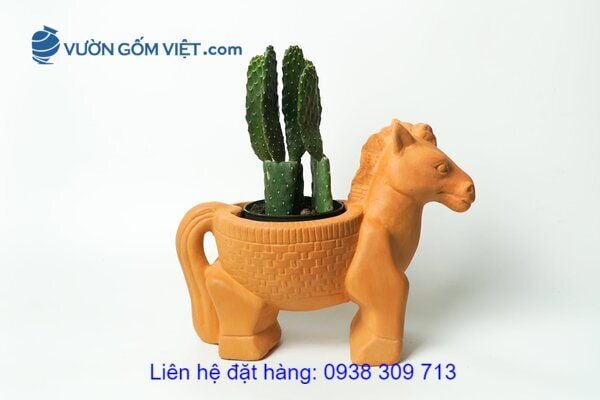 Mua chậu gốm đất đỏ ở đâu? Giá bao nhiêu? Có nhiều loại không?